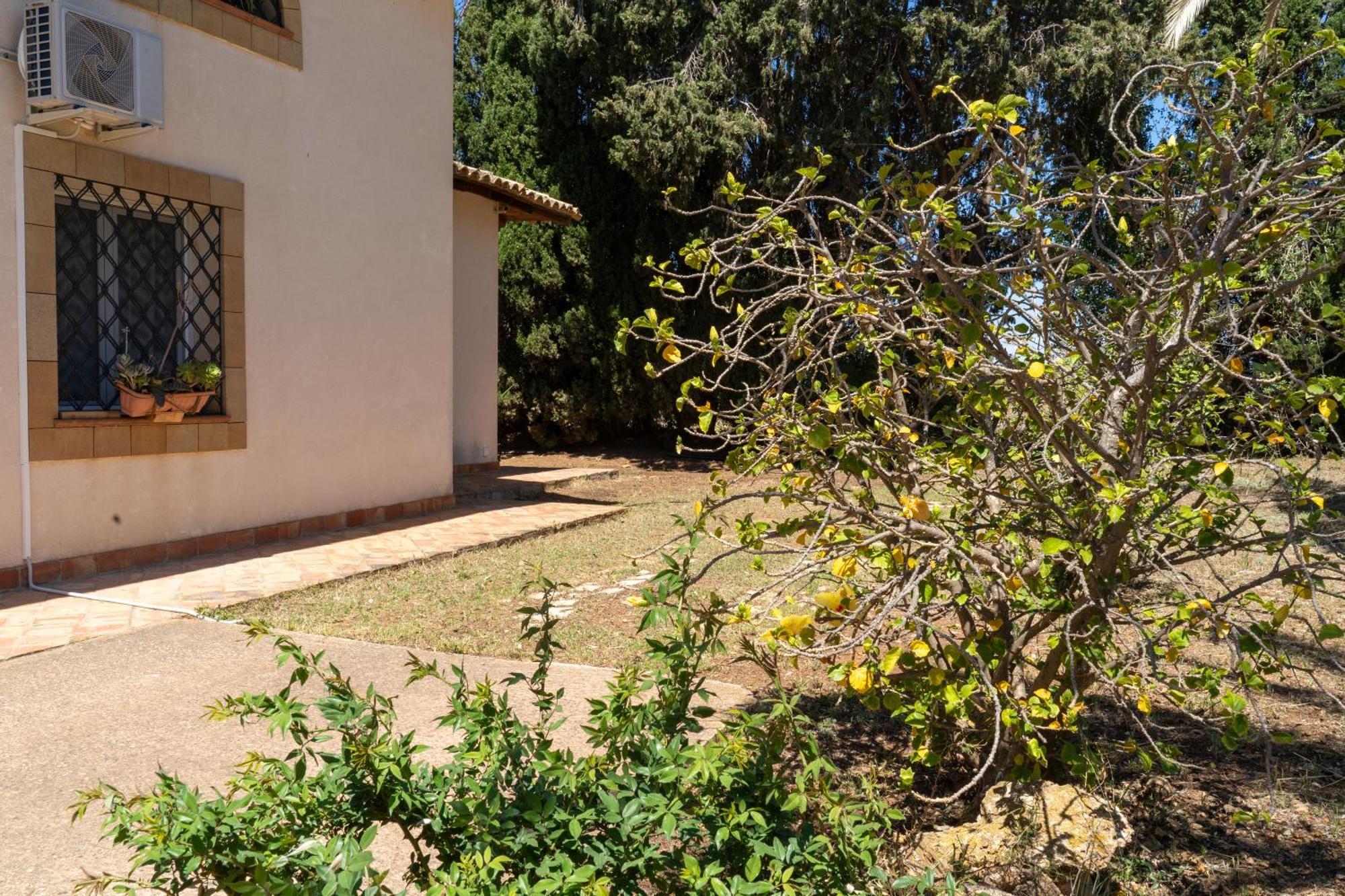 Casa Vacanze Verdemare Con Piscina 里贝拉 外观 照片